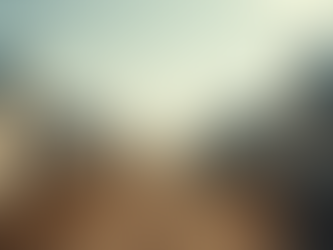 Journey of Compassion: Understanding Europe’s Refugee Crisis through Immersion and Reiki